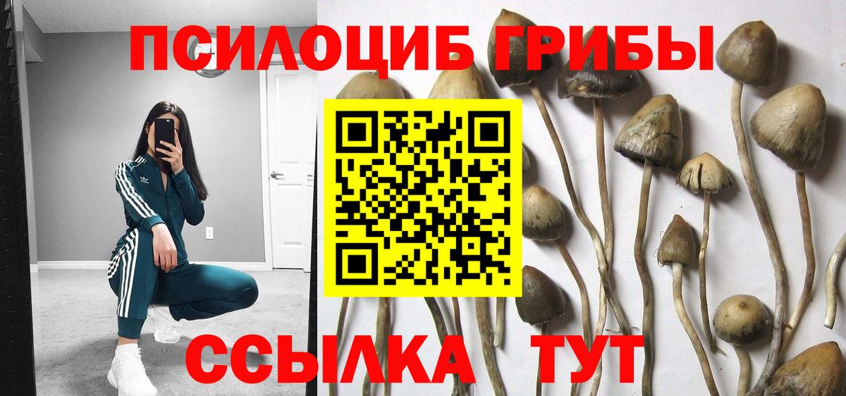Псилоцибиновые грибы GOLDEN TEACHER  Вход с VPN  Десногорск 